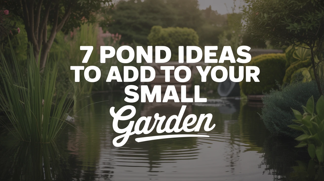7 Pond Ideas to Add To Your Small Garden