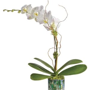 White orchid in mosaic glass vase