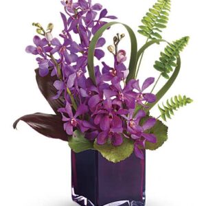 Purple mokara orchids in a plum glass cube