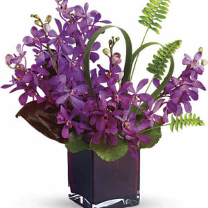 Purple mokara orchids in a plum glass cube