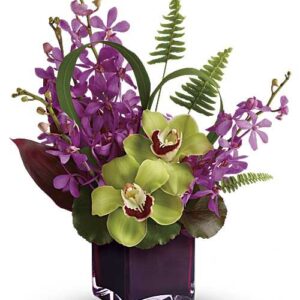Purple mokara orchids in a plum glass cube