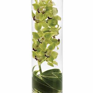 Green Cymbidium Orchid Arrangement in glass vase